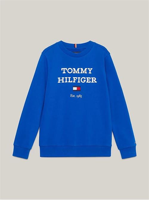  TOMMY HILFIGER | KB0KB08713J/C66